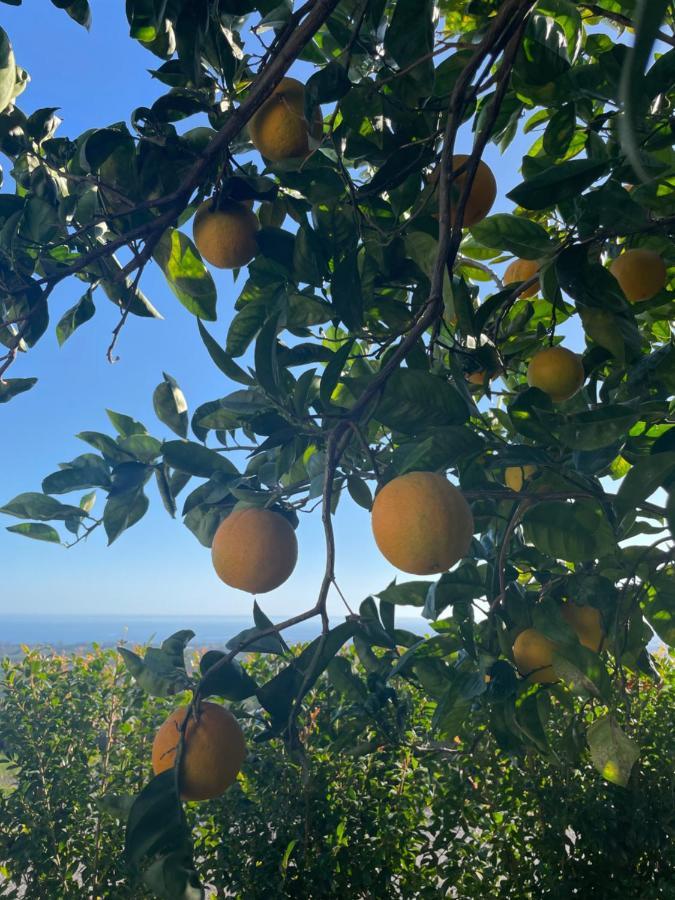 Profumo Di Zagara Fiumefreddo di Sicilia Exterior foto