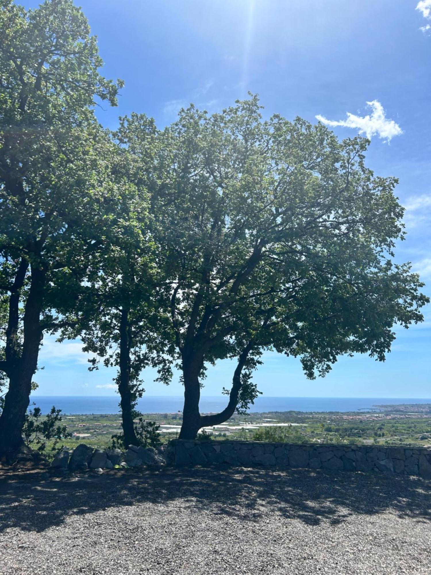 Profumo Di Zagara Fiumefreddo di Sicilia Exterior foto